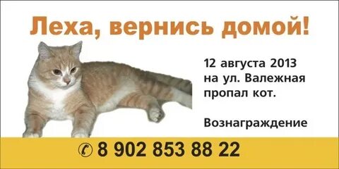 Кот леха