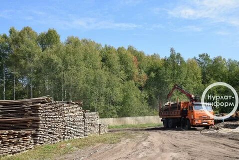 1 лесничества