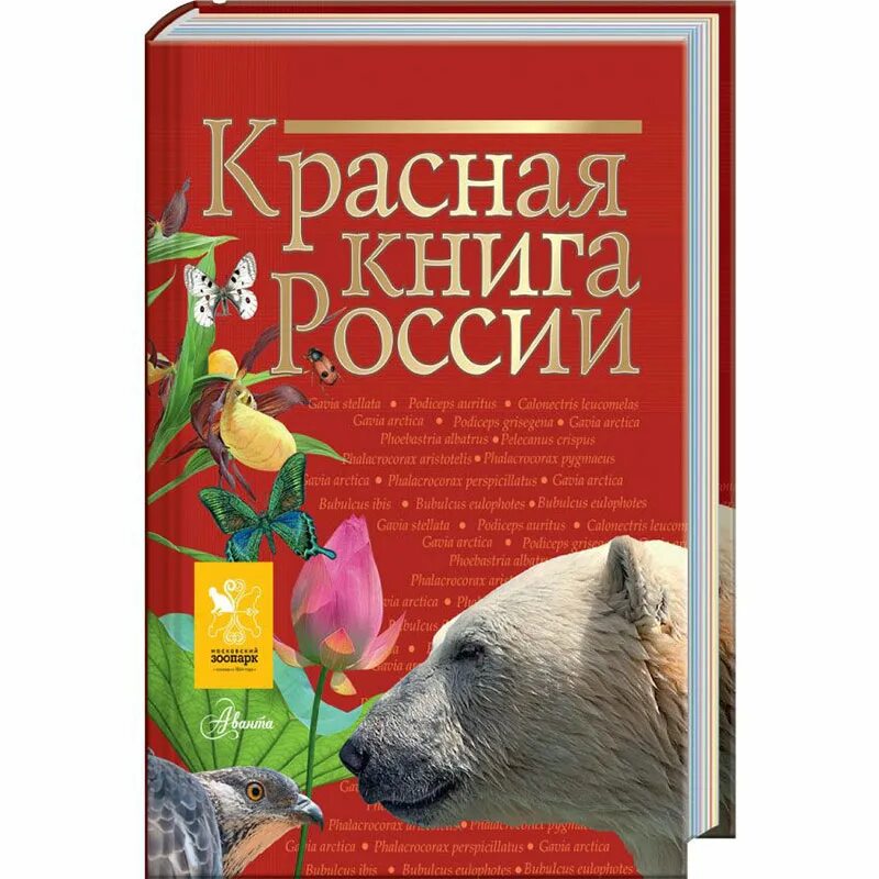 перро красная шапочка книга. красная книжка. шарль перро красная шапочка читать. "красная книга россии". красная шапочка шарль перо.