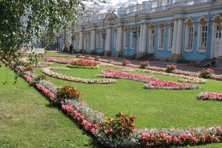 Цветники города кирова. Цветник в палисаднике перед домом. Необычные клумбы для цветов. Рабатка тунберга однолетник. Село цветники.