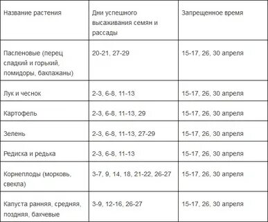 Посадочные дни в апреле мае для моркови