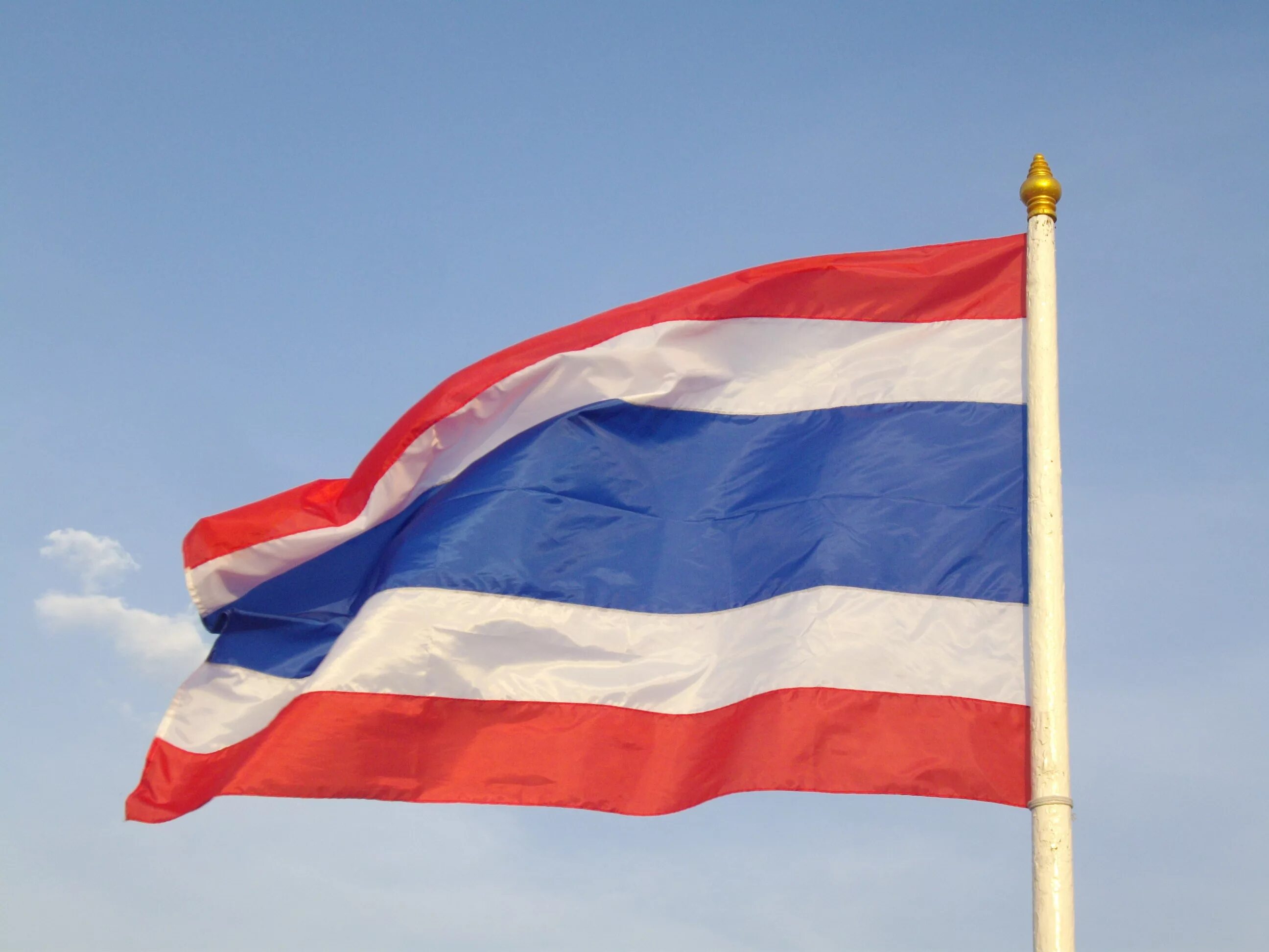 Flag main