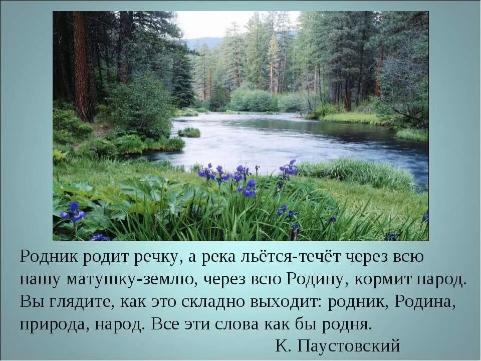 Слова реки судьбы. Презентация Родники. Родник родит реку. Родник стихотворение. Стихи о Родниках.