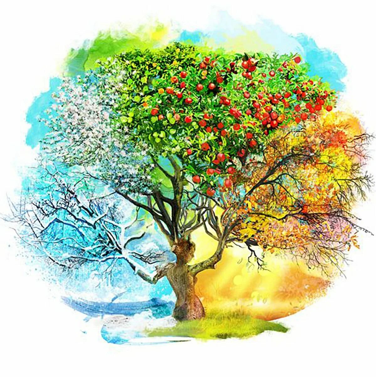 Яблоня в разные времена года. Дерево иллюстрация. Нарисовать дерево. Сказочное дерево.