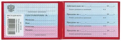 Документ удостоверяющий личность пропуск