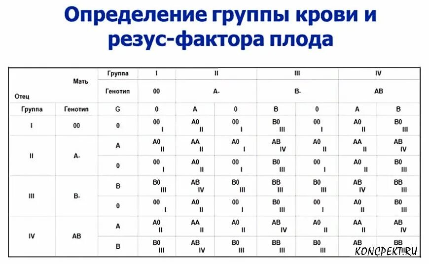 Резус фактор плода по крови. Группы крови и резус-фактор таблица. Определите группы крови по резус-фактору. Резус фактор плода таблица. Резус фактор конфликт таблица.