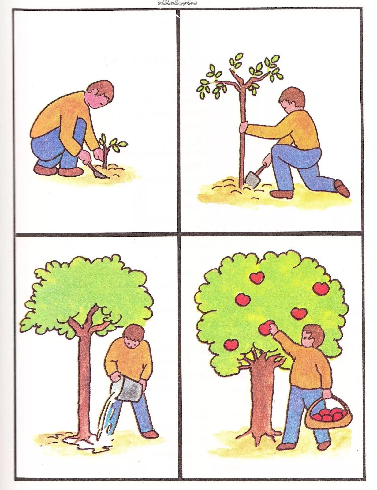 Пара посадила деревья