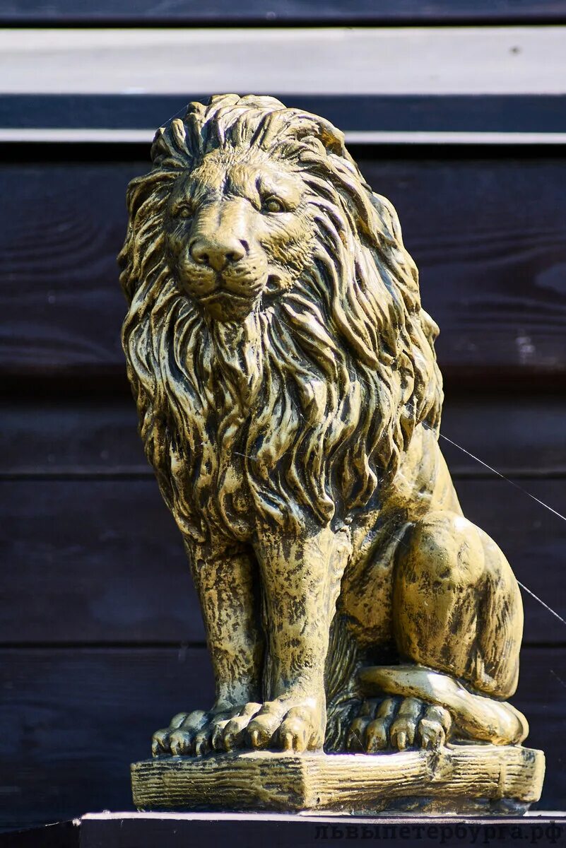 Санкт петербург где львы. Статуя Льва в Санкт-Петербурге. Львы на набережной в Санкт-Петербурге. Каменные львы в Санкт-Петербурге. Питер каменные львы.