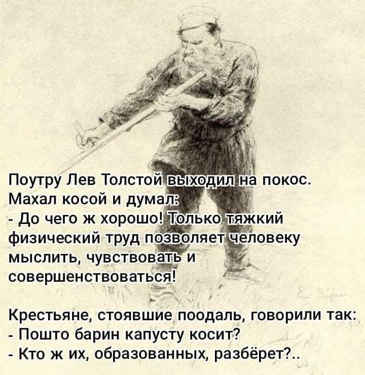 Лев толстой косит капусту. Анекдоты про Льва Толстого. Цитаты Льва Толстого смешные. Поутру Лев толстой выходил на покос. Поутру текст