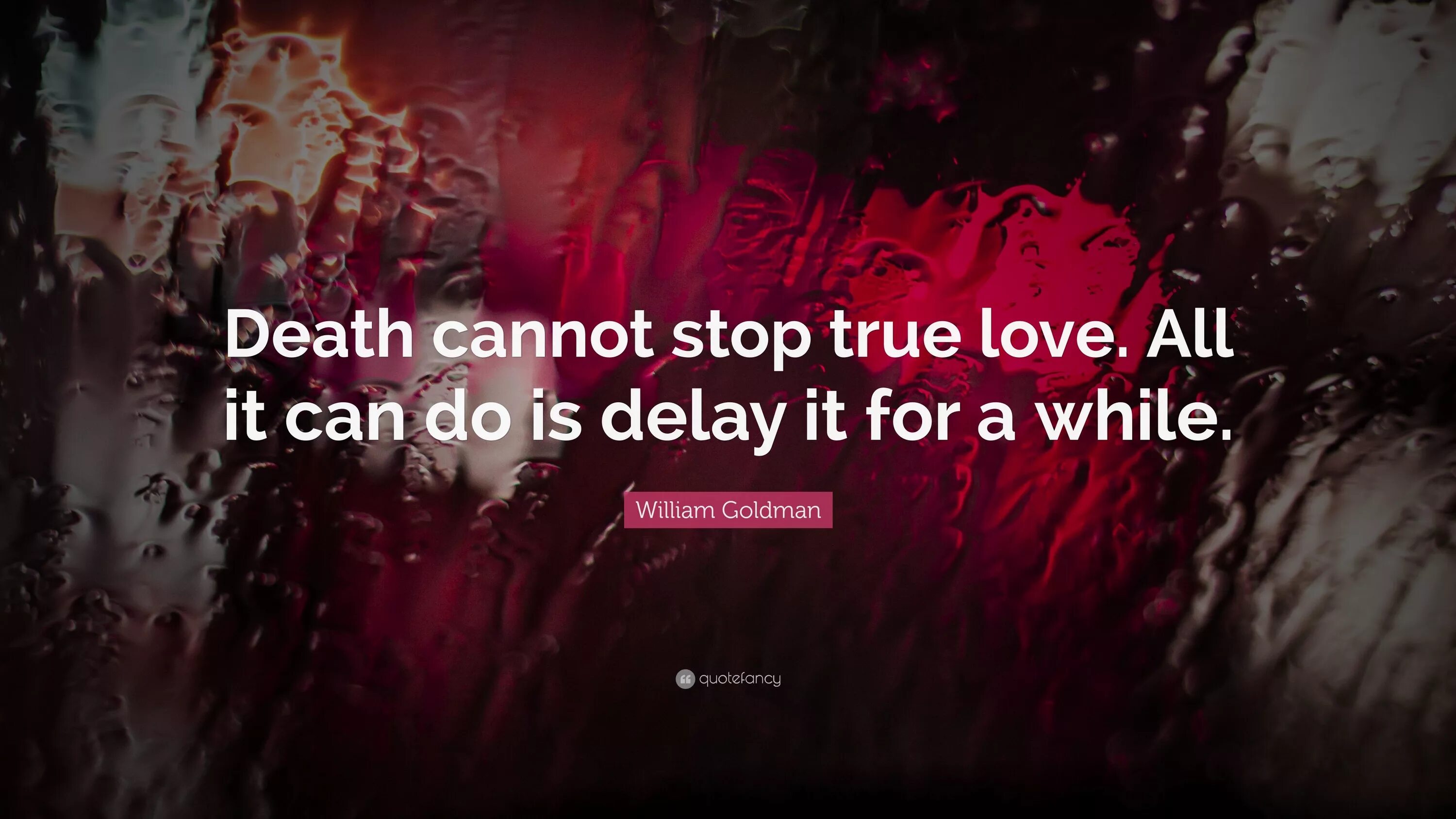 A while you will be. Never Love anyone who treats you like you’re ordinary. Never Love солист. Портрет Дориана Грея Оскар Уайльд never Love anyone who treats you like you’re ordinary.. Never Love anyone who treats you like you're ordinary написанный шрифтом Rosamunda one.