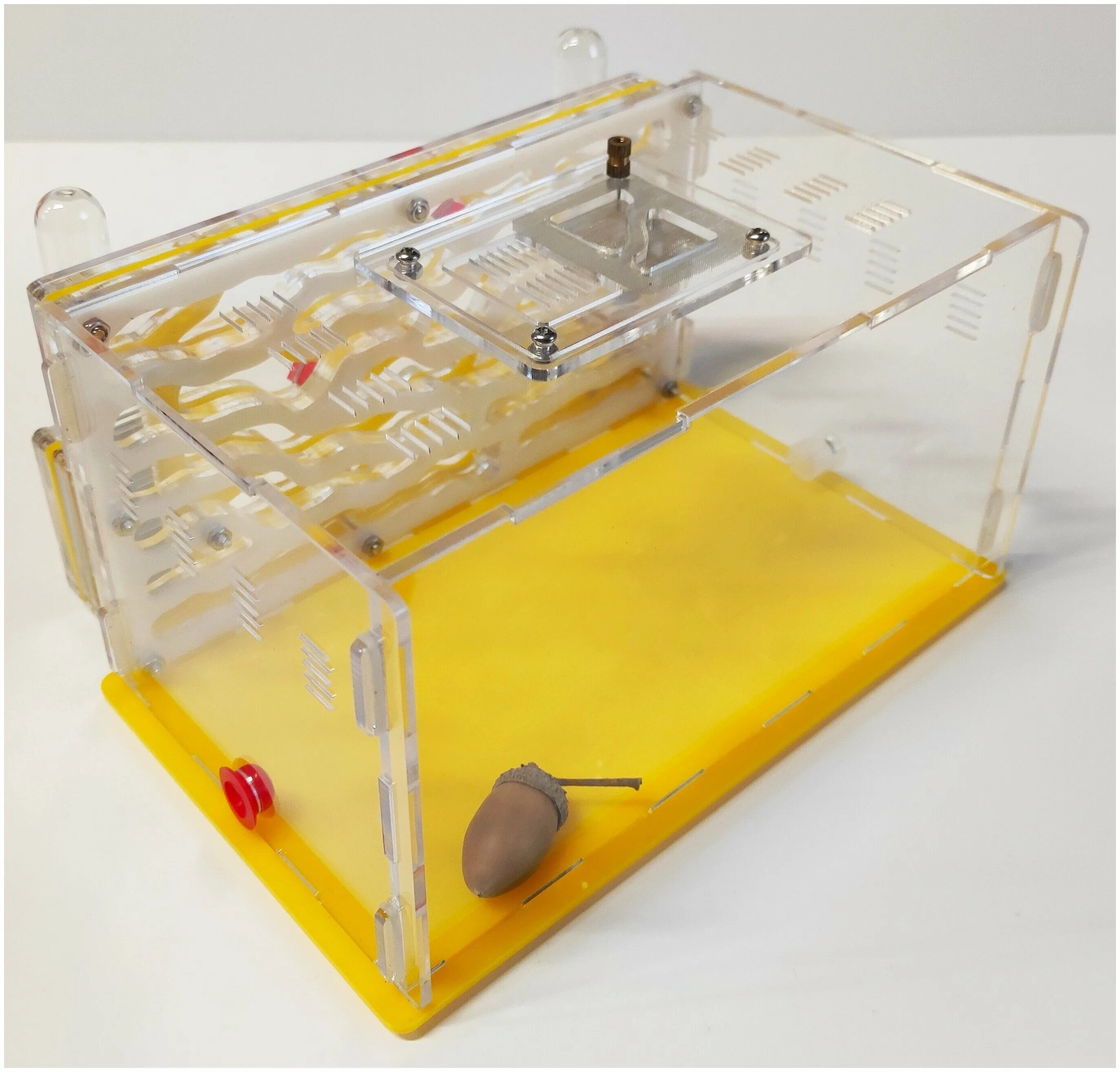 Муравьиная ферма ant tower ant nest b1 antlife. Ant city. Муравьи купить для фермы матка. Ant city. Муравьиная ферма сколько стоит в пределах 1600.