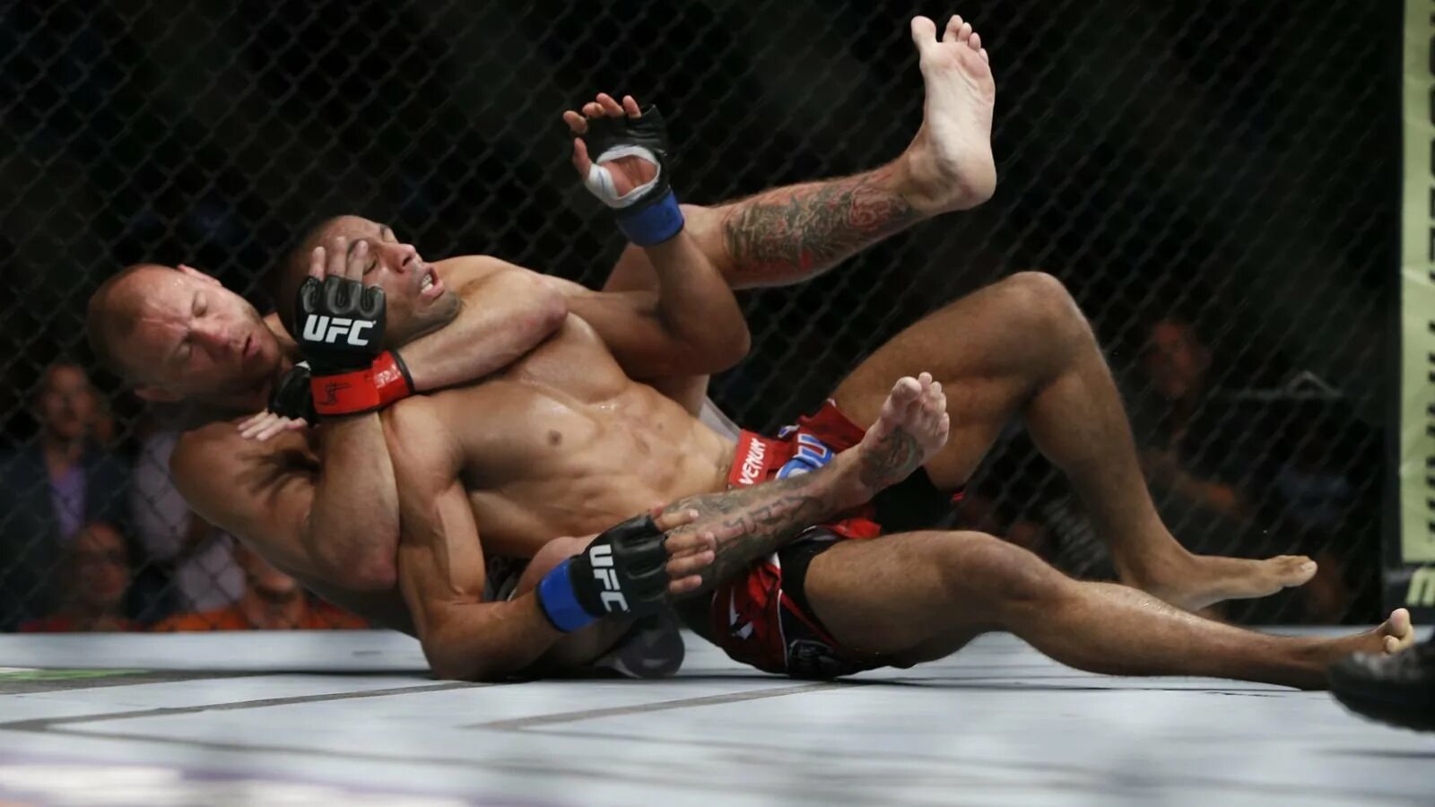 Смешанные боевые единоборства мма. Смешанные боевые единоборства мма. Смешанные боевые единоборства мма. Как называется бои без. Пётр ян жозе альдо.