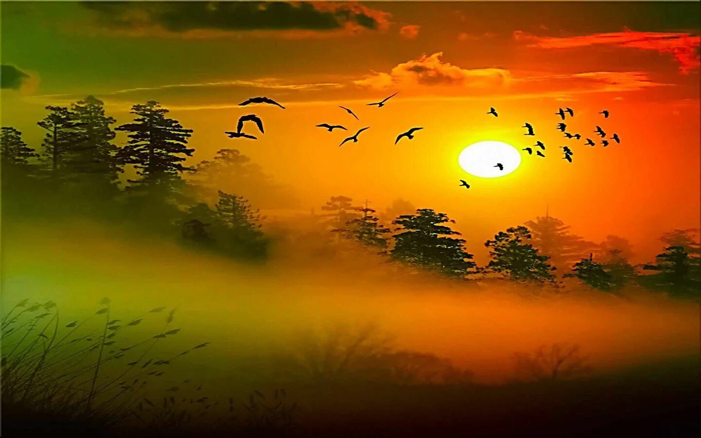 It is a beautiful evening. Утро солнце птицы. Утренний рассвет с птицами. Птица солнца. Солнце птички.