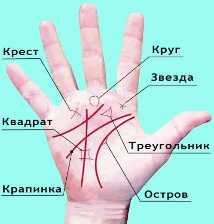 Ладонь обозначение