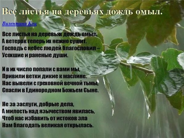 осень дождь. лето дождь. зонт под дождем. некрасов перед дождем стихотворение. в мае часто бывают грозы.