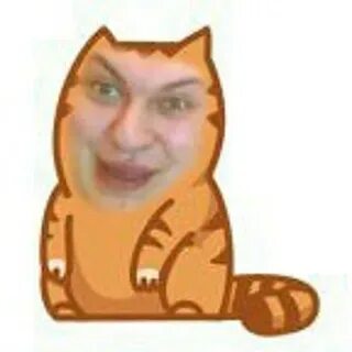 Хованский котенок