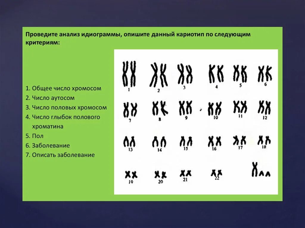 Кариотип человека определяют