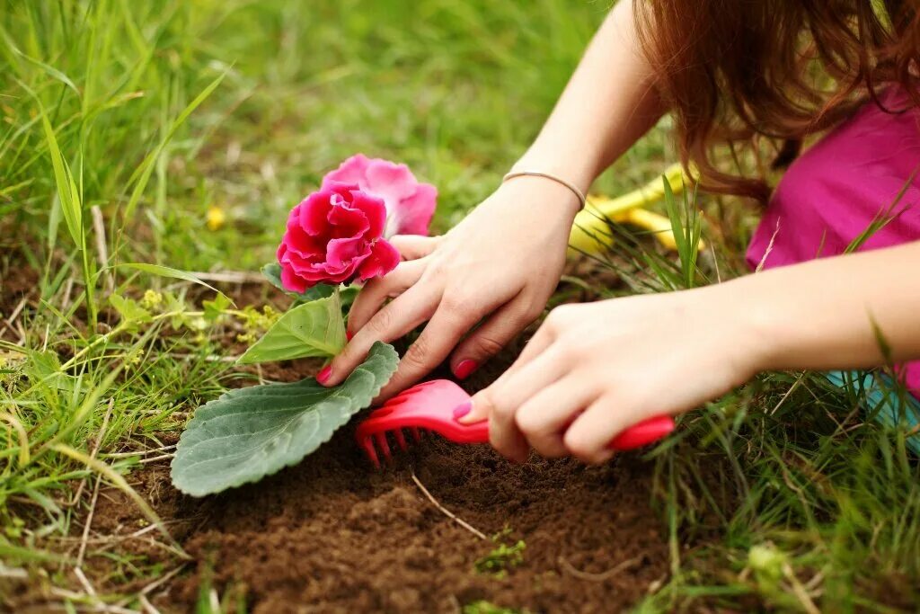 Сон сажать цветы в землю. Девушка сажает цветок в землю. Девочка выросшая в цветке. Руки садят цветок.