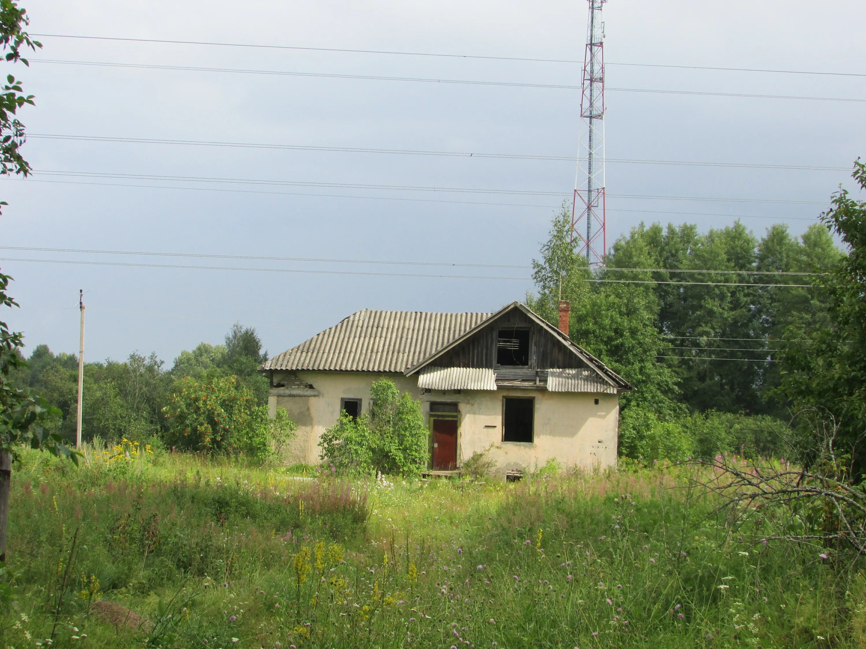 Возрождение (посёлок, ленинградская область). Посёлок возрождение ленинградская. Дол возрождение ленинградская область. Погода в возрождении ленинградская область. Деревянный дом поселок ренессанс.