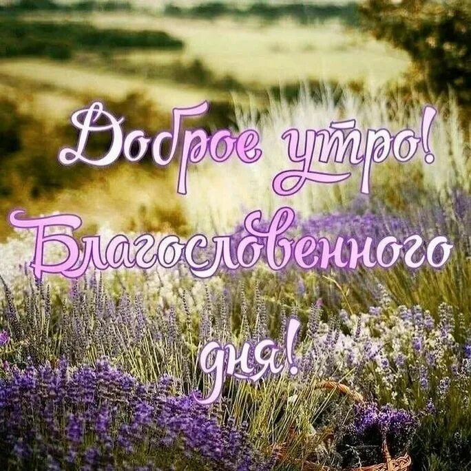 Открытки божьей благодати. Голуби в небе. Благословенного дня христианские пожелания. Божьих благословений. Открытки с божьим благословением.