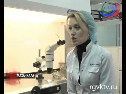 Репродукция и эко махачкала на гоголя