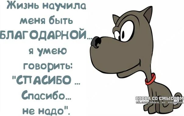 Включи мы умеем. Уметь общаться это. Включи мы умеем. Включи мы умеем. Включи мы умеем.