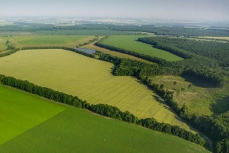 Гектар земли. Участок земли гектар. Ракомское сельское поселение д. 300 гектар земли. 300 гектаров.