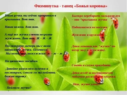 Божья коровка слова