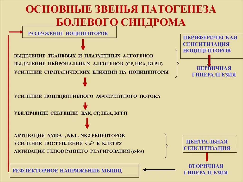 Болевой синдром механизм развития. Абдоминальный болевой синдром этиология. Патогенез патологической боли. Болевые синдромы этиология патогенез.