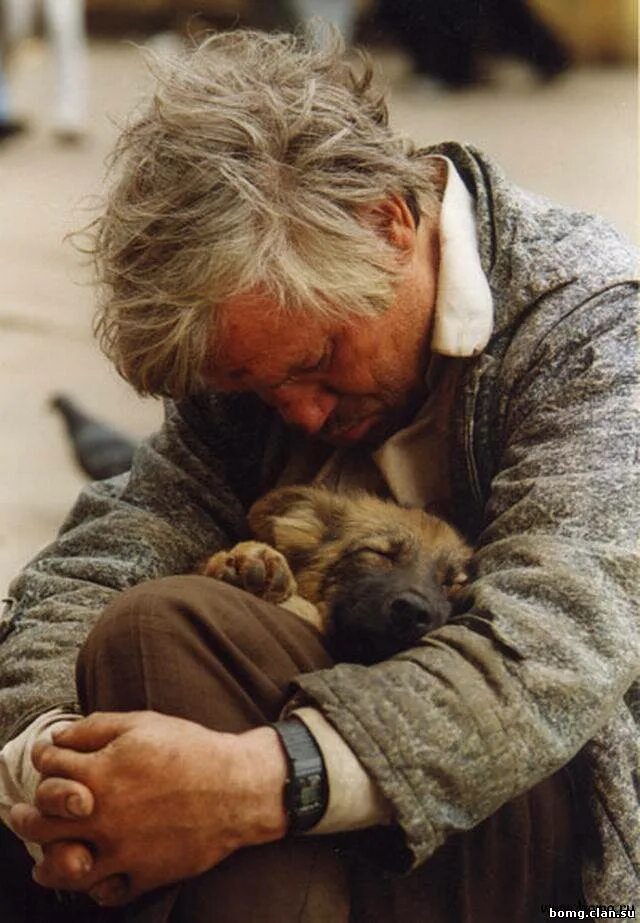 Собака друг человека. Любовь к животным. Доброта к людям. Добро к животным.