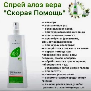 Алоэ помощь