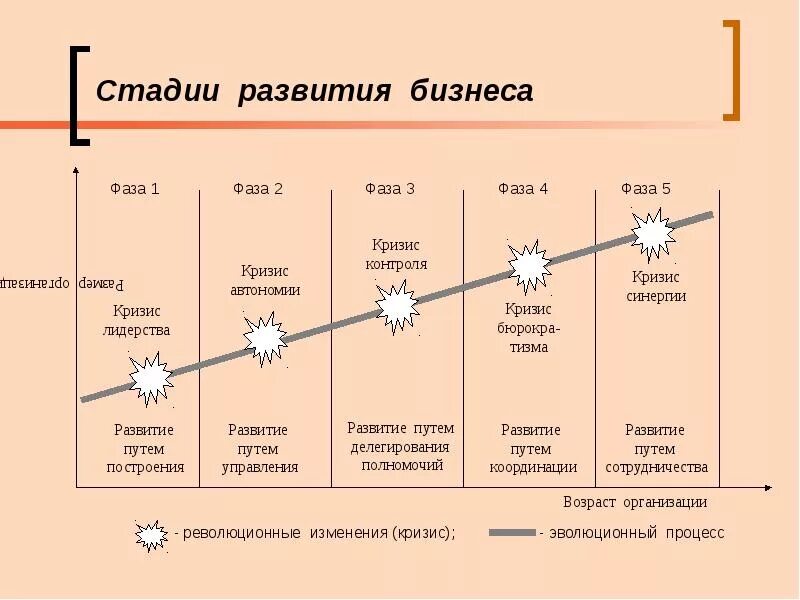 Через какие стадии. Стадии жизненного цикла бизнеса. фазы жизненного цикла бизнеса. этапы формирования бизнеса. этапы развития бизнеса схема.