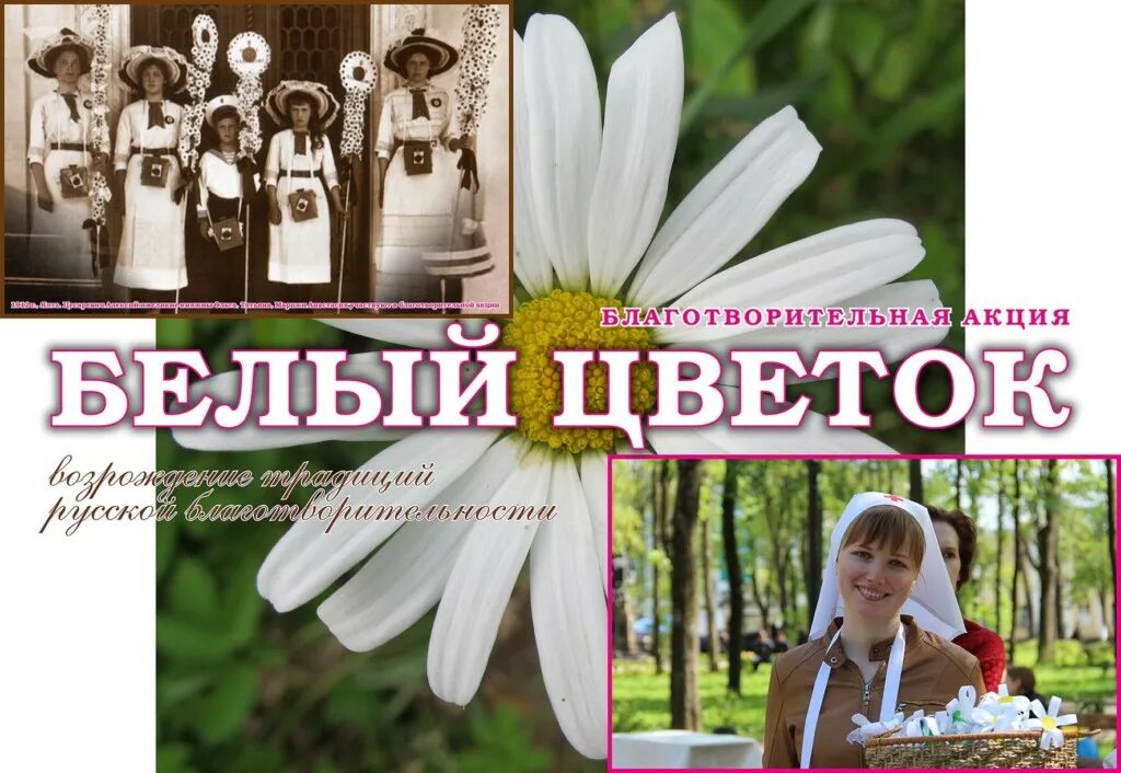 День благотворительности белый цветок. Праздник белого цветка. благотворительный праздник белый цветок. праздник милосердия и благотворительности белый цветок. акция белый цветок.