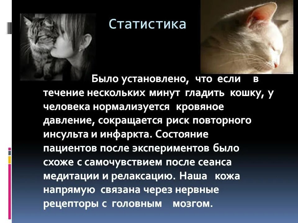 Влияние кошек на человека. Польза кошек. Польза кошек для человека. Роль кошки в жизни человека. Играет роль кошки