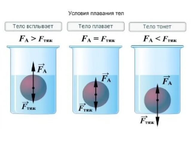 Условия плавания тел физика 7 класс формула. Физика условие плавания тела в жидкости. Формула плавания тел в жидкости. Условия плавания тел физика 7 класс.