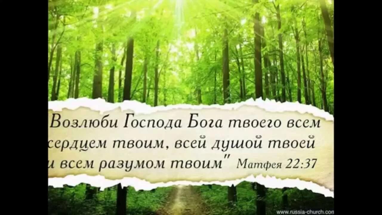 Возлюби господа всем сердцем твоим. Возлюби Бога. Возлюби Бога всем сердцем всем разумом. Возлюби Господа. Возлюбите Господа Бога всем сердцем.