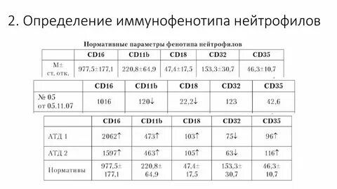 Частота фенотипа