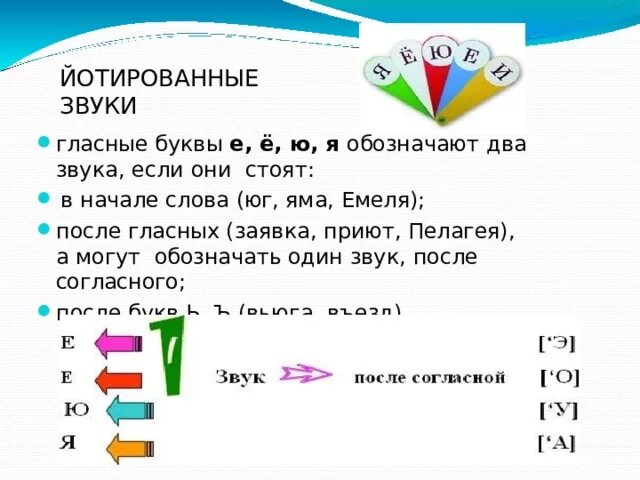 Слово ю после гласного звука. Йотированные гласные два звука. Йотированные гласные 1 класс. Йотированные гласные 1 класс схема. Йотированные гласные 1 класс правила.