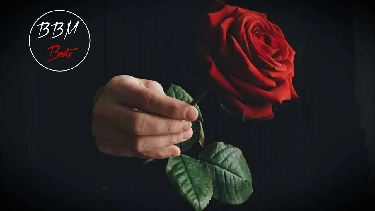 Песня я подарю тебе розы пионы. Дарит розу. Держит розу.