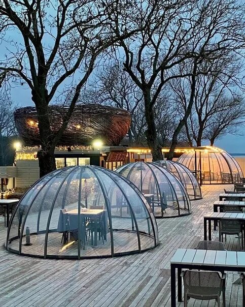 Гнездо зеленоградск. Кафе гнездо зеленоградск. Гнездо зеленоградск. Кафе гнездо в зеленоградске калининградской области. Кафе гнездо калининград.