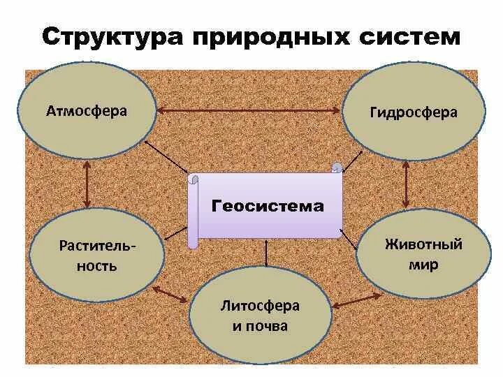 Что является естественной системой. Структура природной системы. Схема иерархия природных геосистем. Примеры геосистем. Пример природной геосистемы.