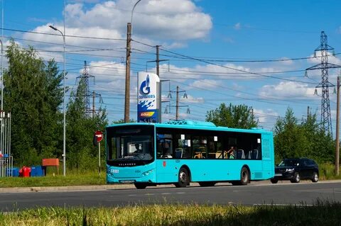 Автобус 164 спб