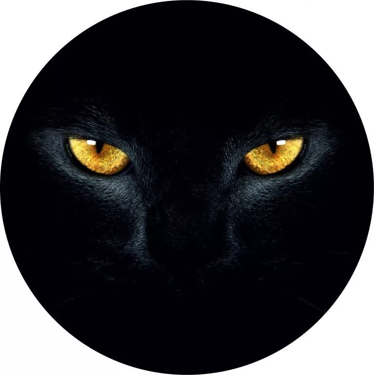 Black cat eye. Глаза пантеры. Глаза кошки. Кошачий глаз. Пантера с желтыми глазами.