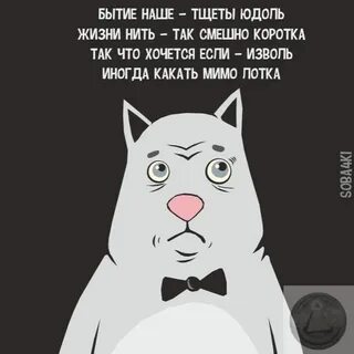 Мимо поста