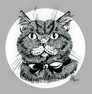 Кот графика