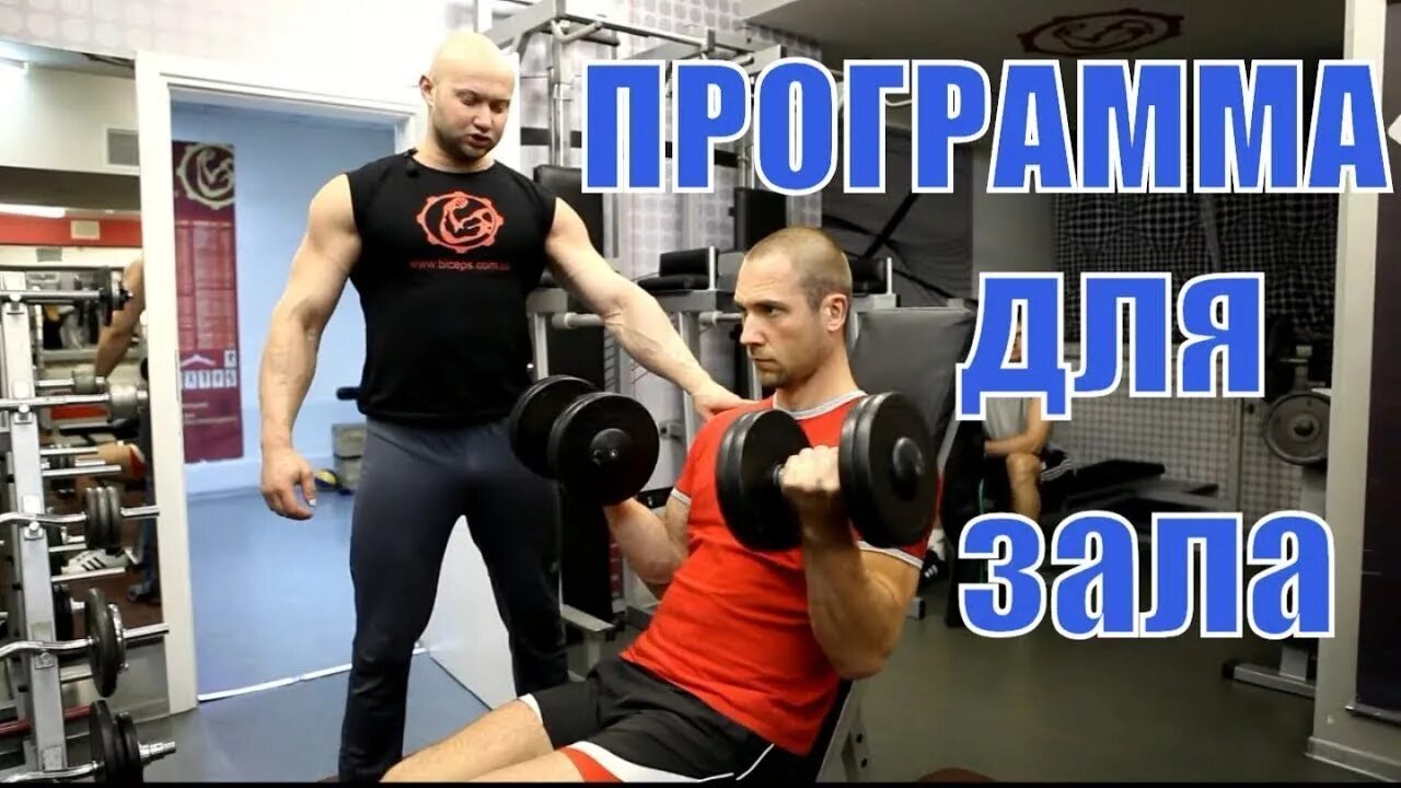 Спасокукоцкий программа тренировок. Спасокукоцкий программа тренировок для девушек. спасокукоцкий тренировки в зале.