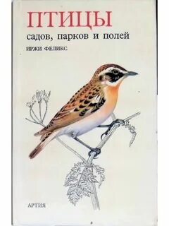 Птицы лесов и полей