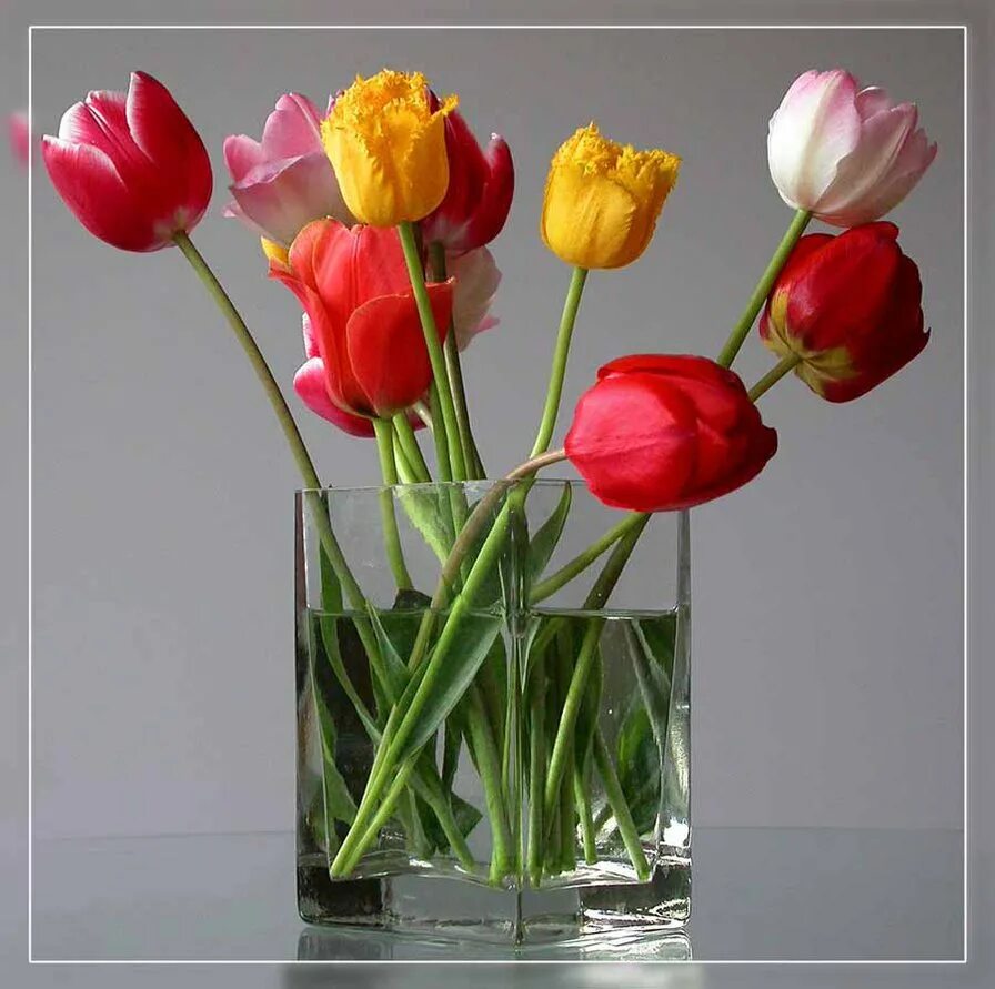 Сколько воды наливать тюльпанам в вазе. Тюльпаны в вазе. Тюльпаны в вазочке. Букет тюльпанов. Тюльпаны в стеклянной вазе.