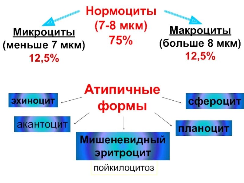 Микроциты повышены. Нормоциты микроциты макроциты. Нормоциты микроциты макроциты в норме. Эритроциты макроциты. Анизоцитоз макроцитоз в общем анализе крови что.