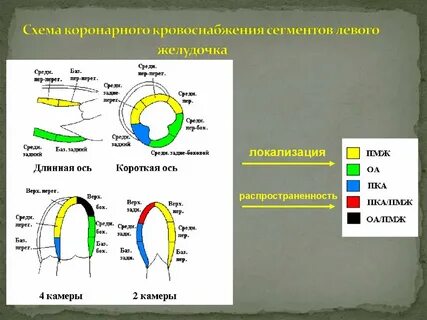 Стенки лж
